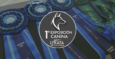 miniatura-1er-exposicion-canina-nuevo